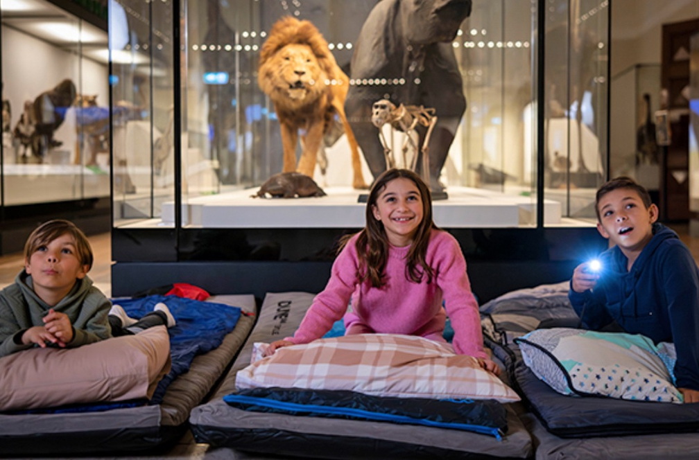 DinoSnore: Sleepover at the Museum