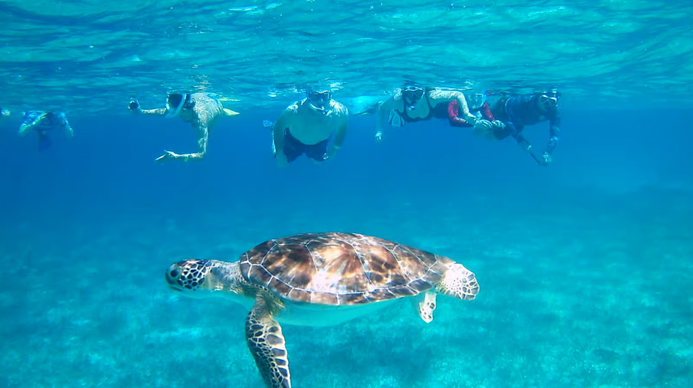 Hol-Chan Snorkeling & Island Visit