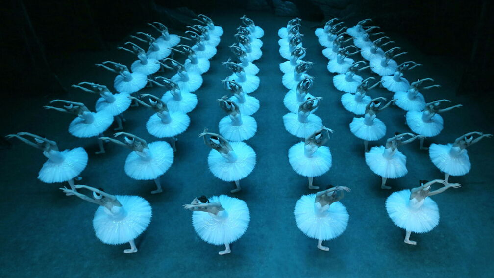 The Largest Swan Lake in the World