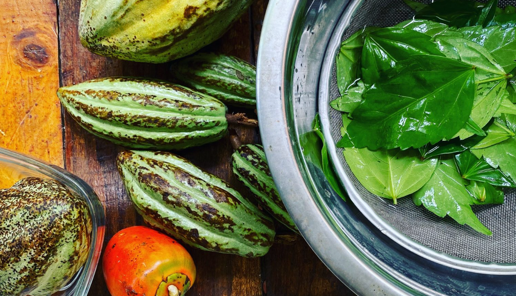 Medicinal & Edible Garden Tour