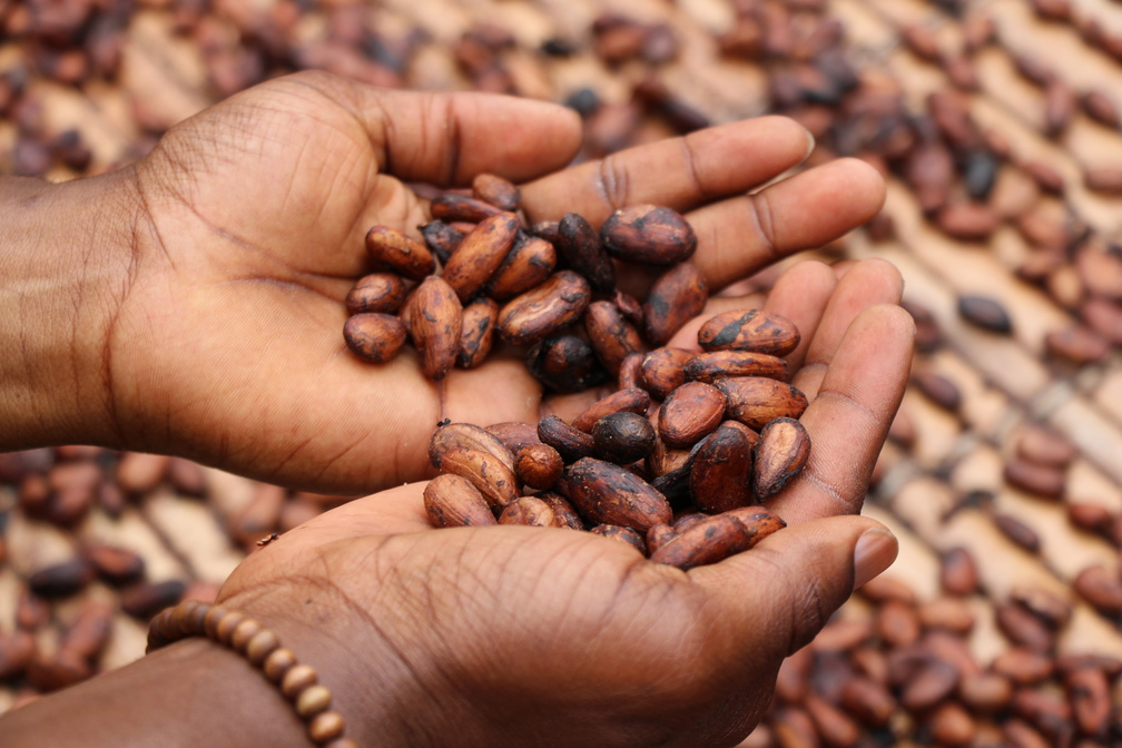 Community Jam & Cacao