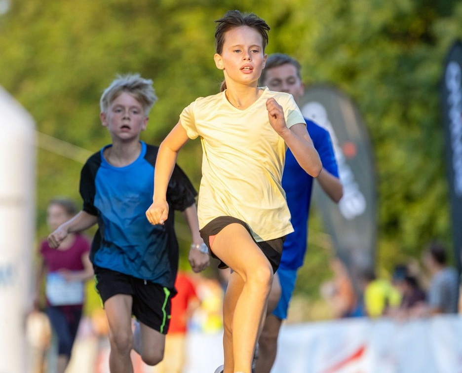 DresdenHALF