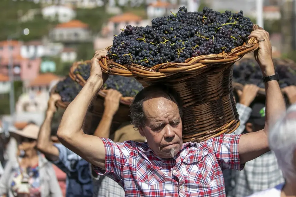 Estreito Wine Harvest Festival
