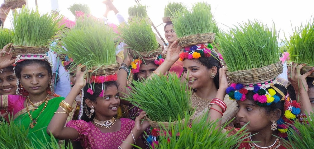 Hariyali Teej