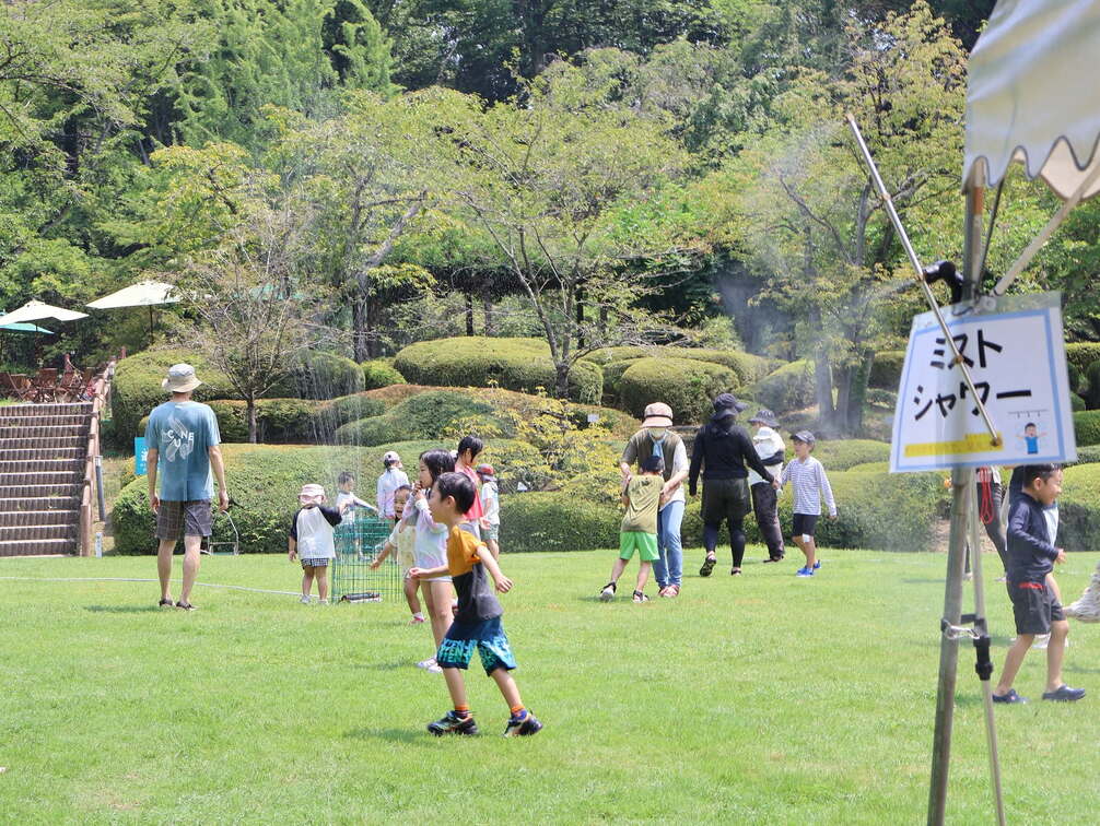 Botanical Garden Summer Fair