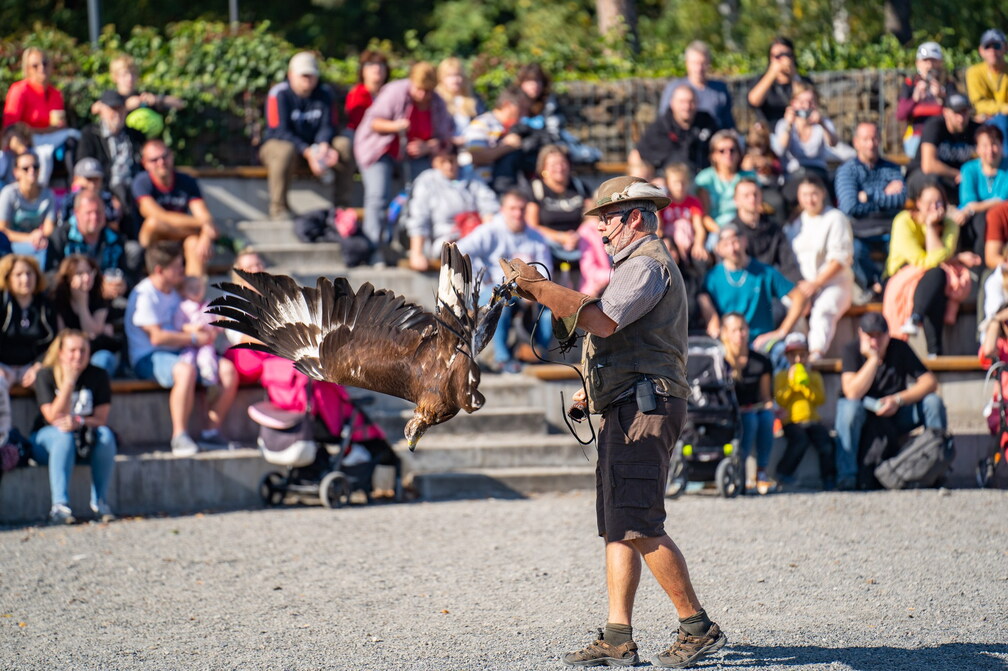 Castle Feast 2026