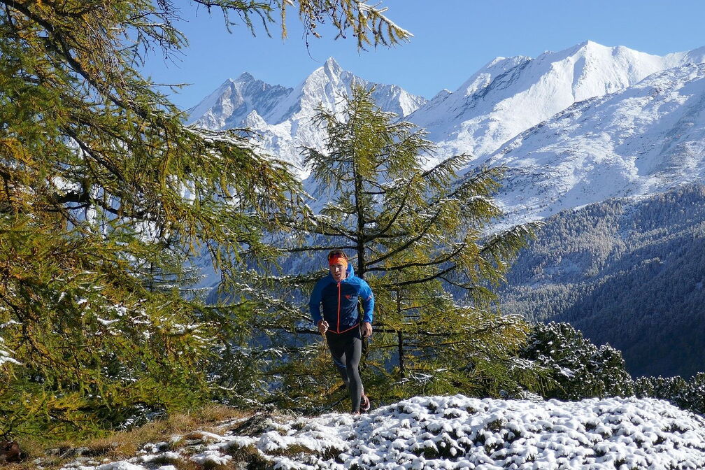 ALTO Trail Weekly Runs