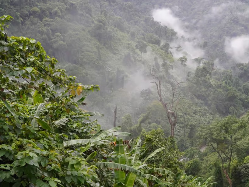 Phong Nha: Morning Primate Watching Tour