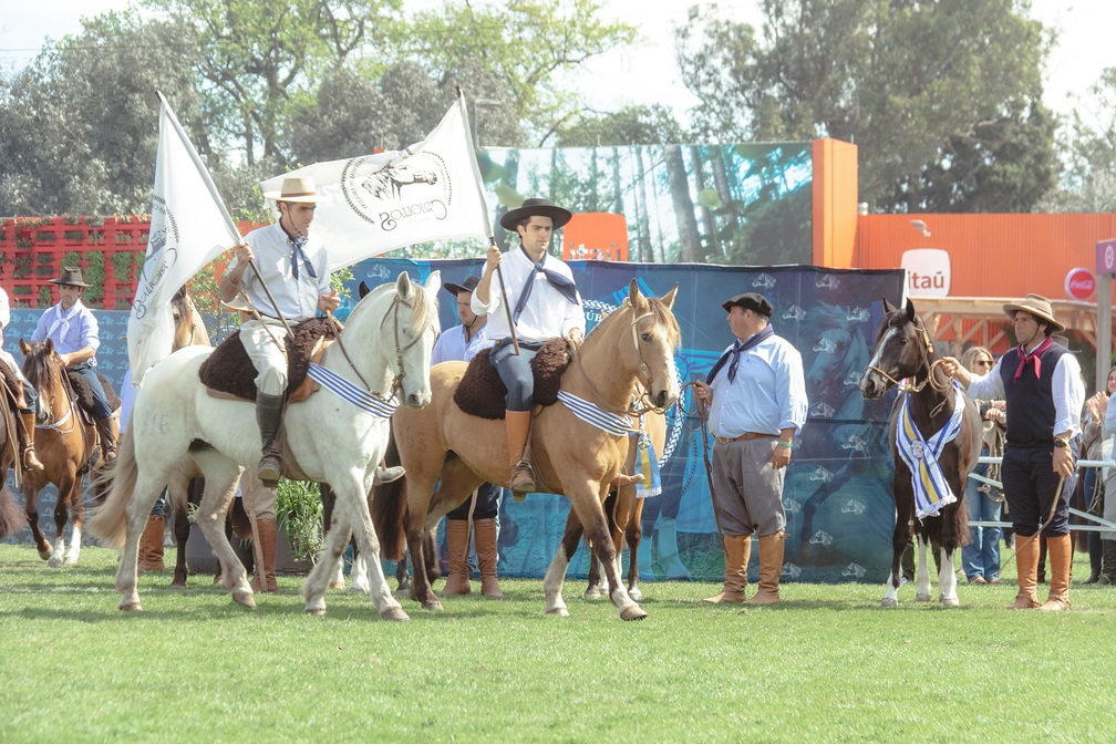 International Livestock Exhibition: Agro-Industrial & Commercial Show