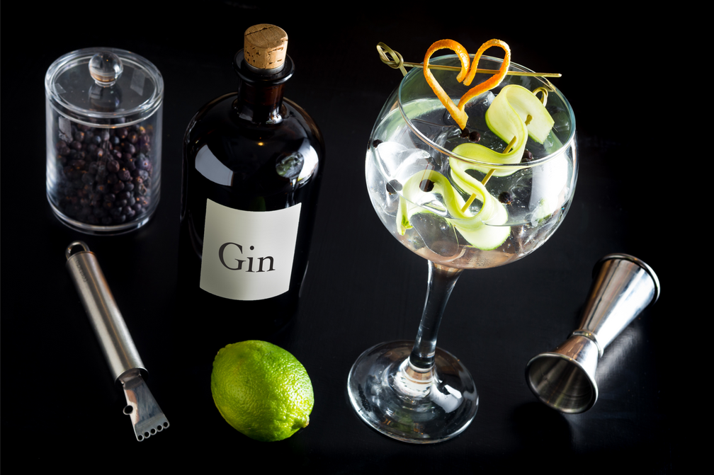 Gin Tonic Festival