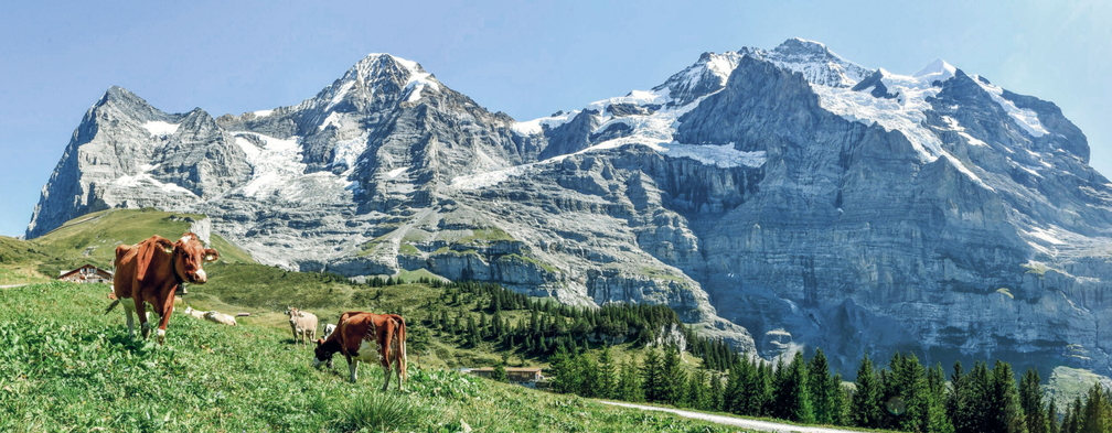 Chästeilet Wengen