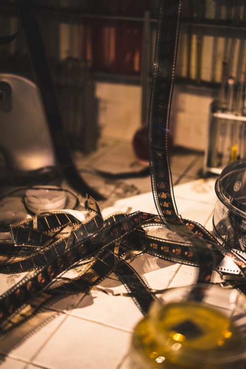 The European Film Festival
