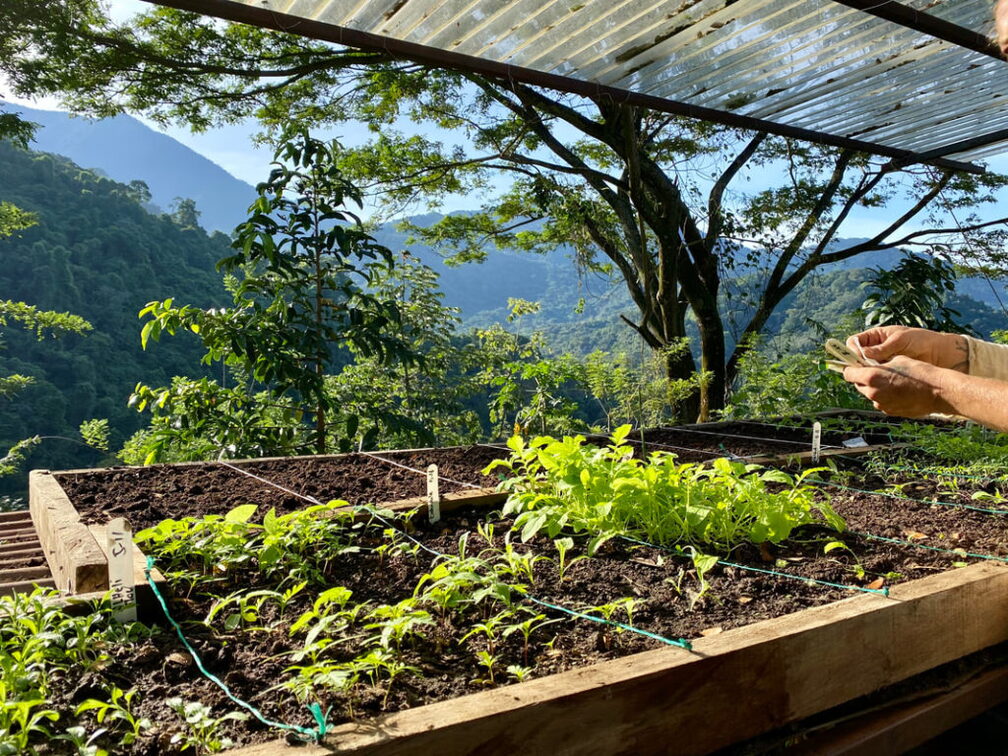 Farm to Table Workshop