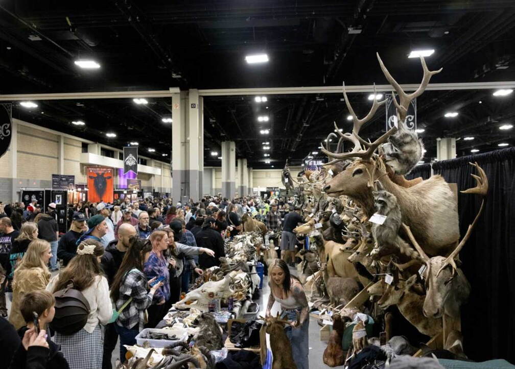 Vancouver Oddities and Curiosities Expo