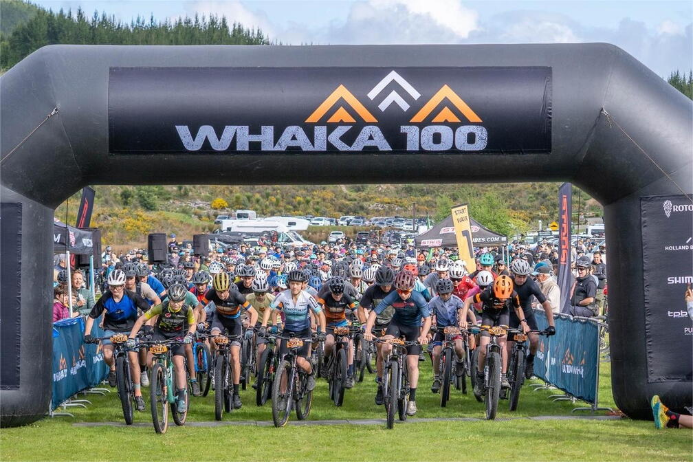 Whaka 100