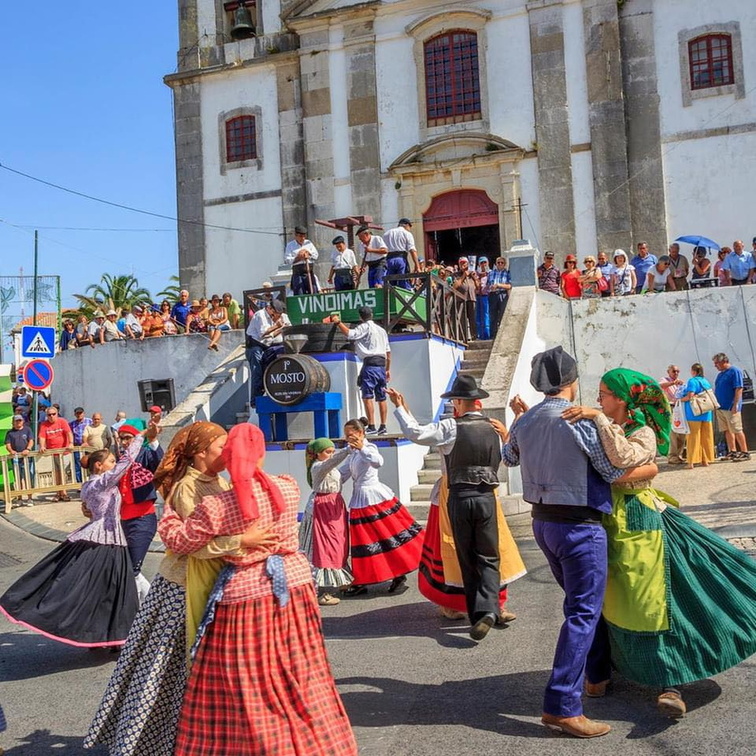 Festa Das Vindimas