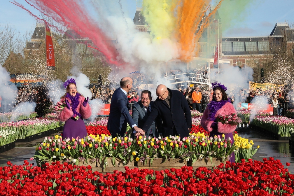 TulipDay