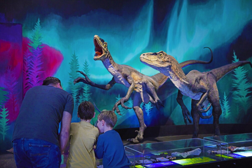 Early Birds: Autism and Sensory-friendly Mornings