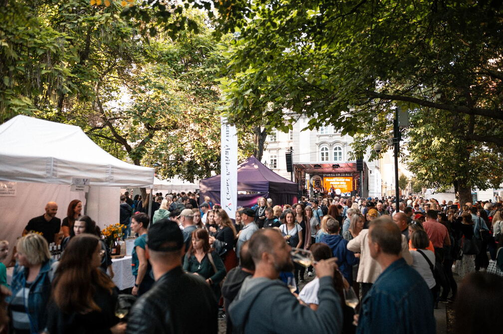 Pilsen Wine Festival (Autumn)