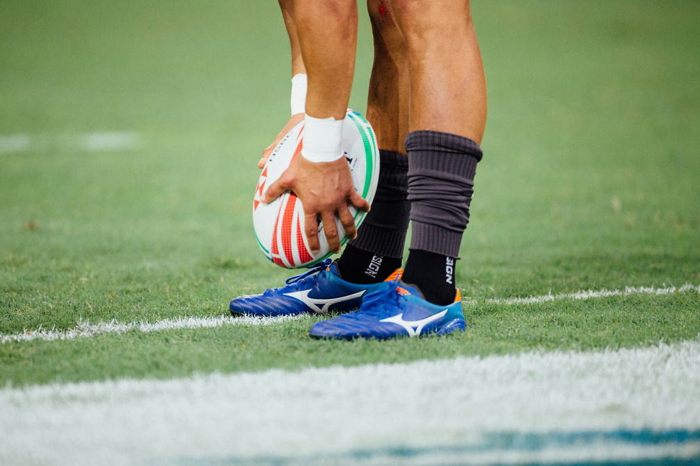 Ireland Autumn Internationals