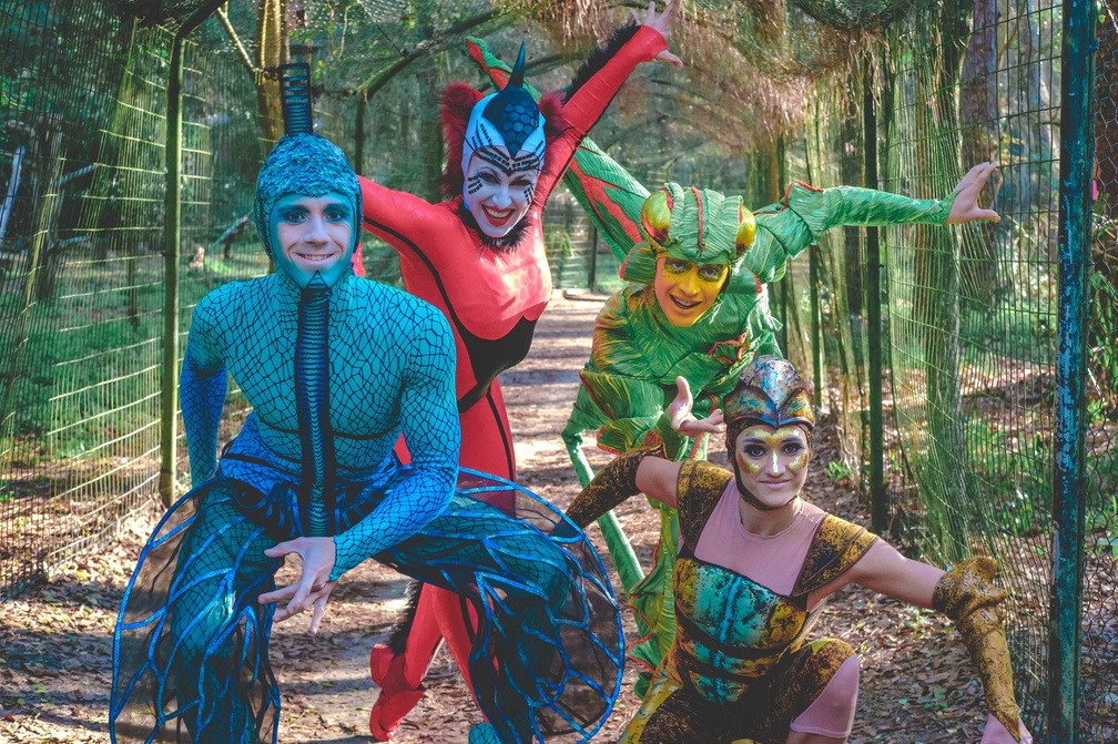 Cirque du Soleil: OVO
