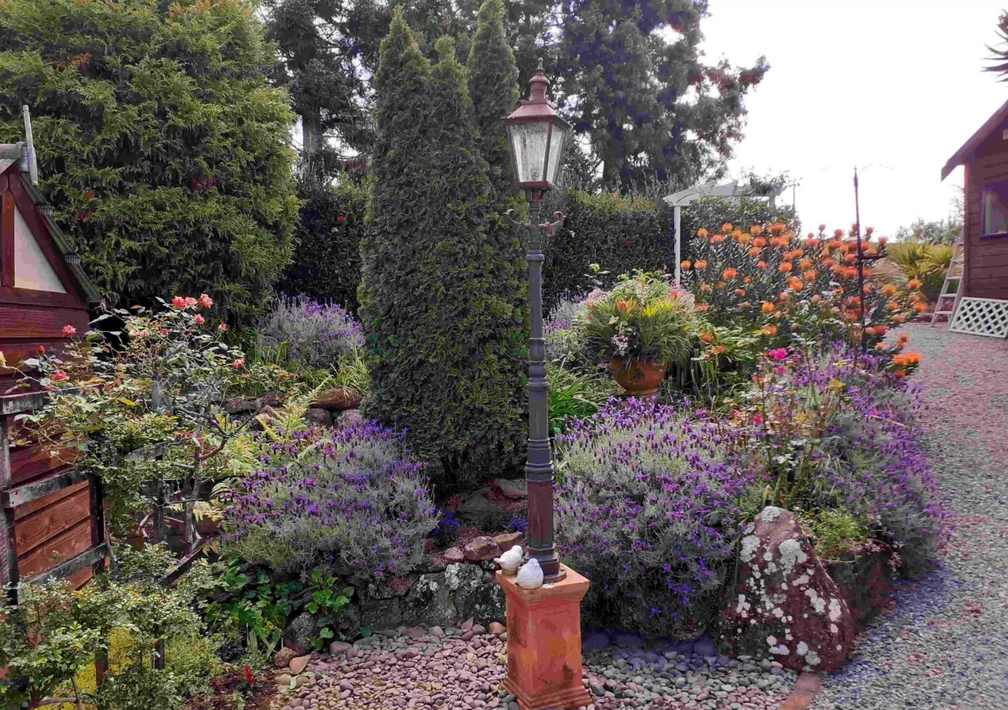 New World Kerikeri Rotary Garden Safari