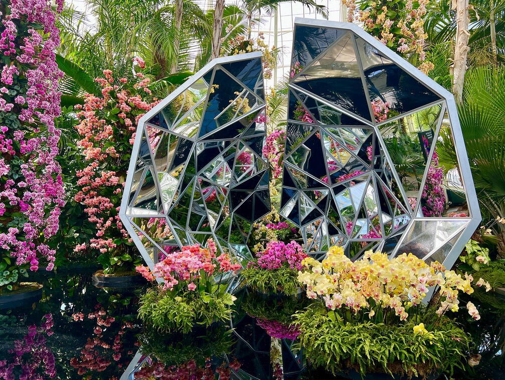 Flower Power
