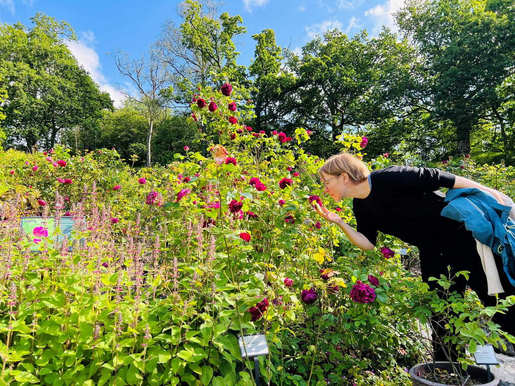 30th anniversary Bergen Botanical Garden