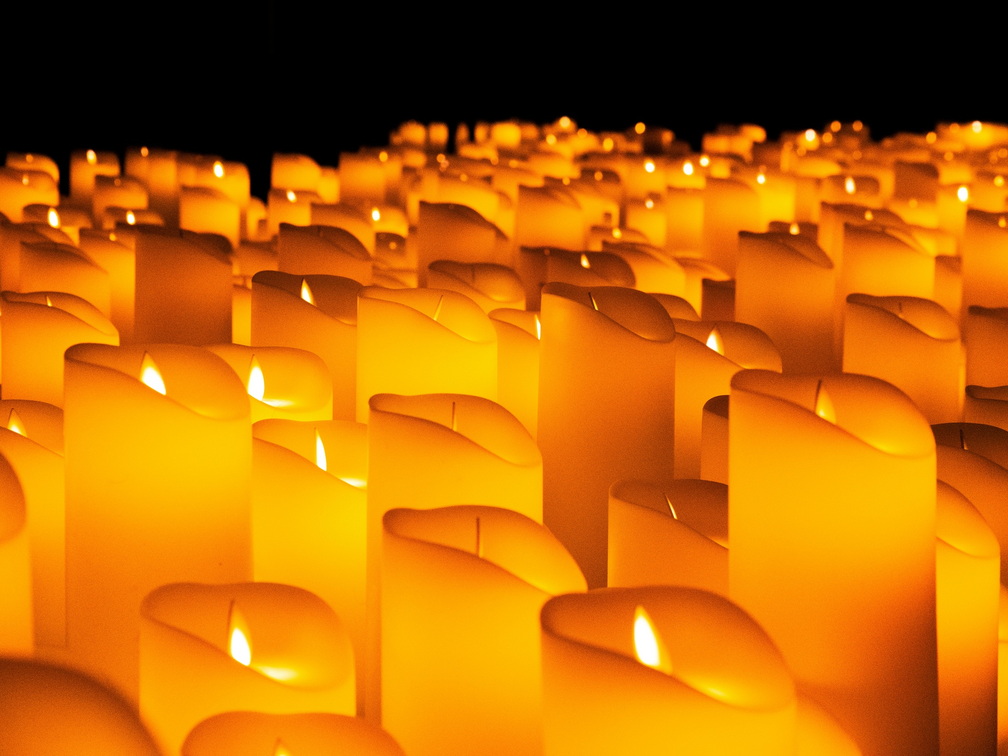 The Innate Law (Candlelight)