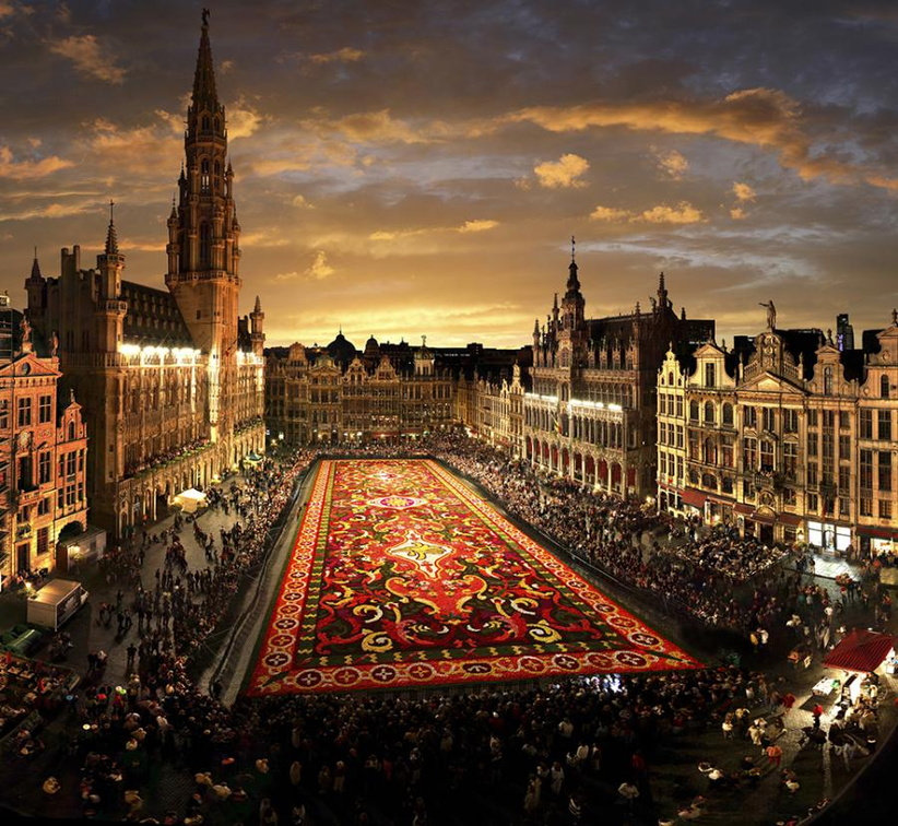 Brussels Flower Carpet
