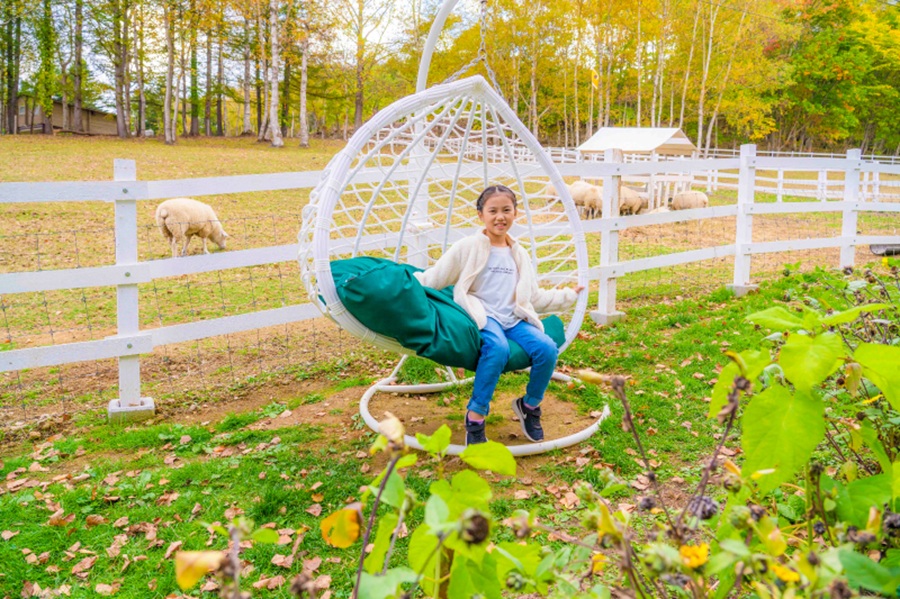 Rusutsu Farm Sheep Land