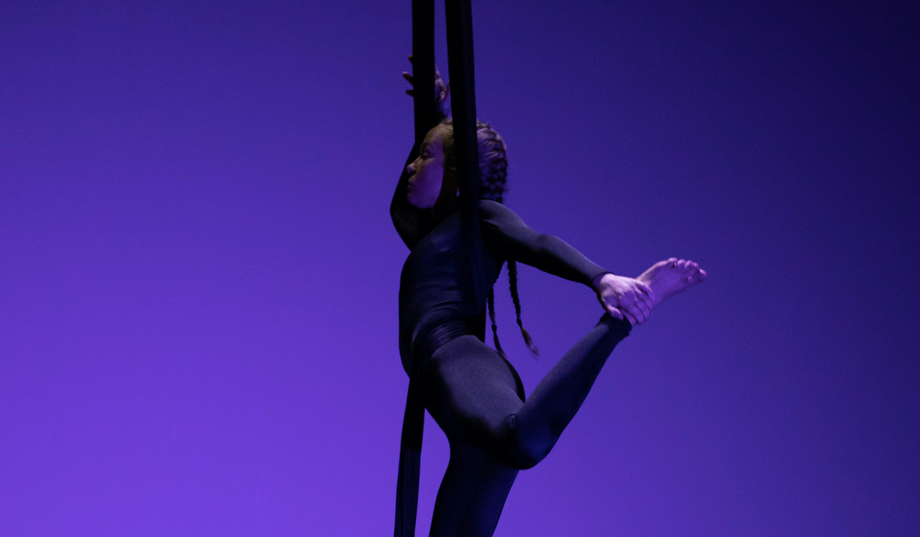 China Acrobatic Troupe