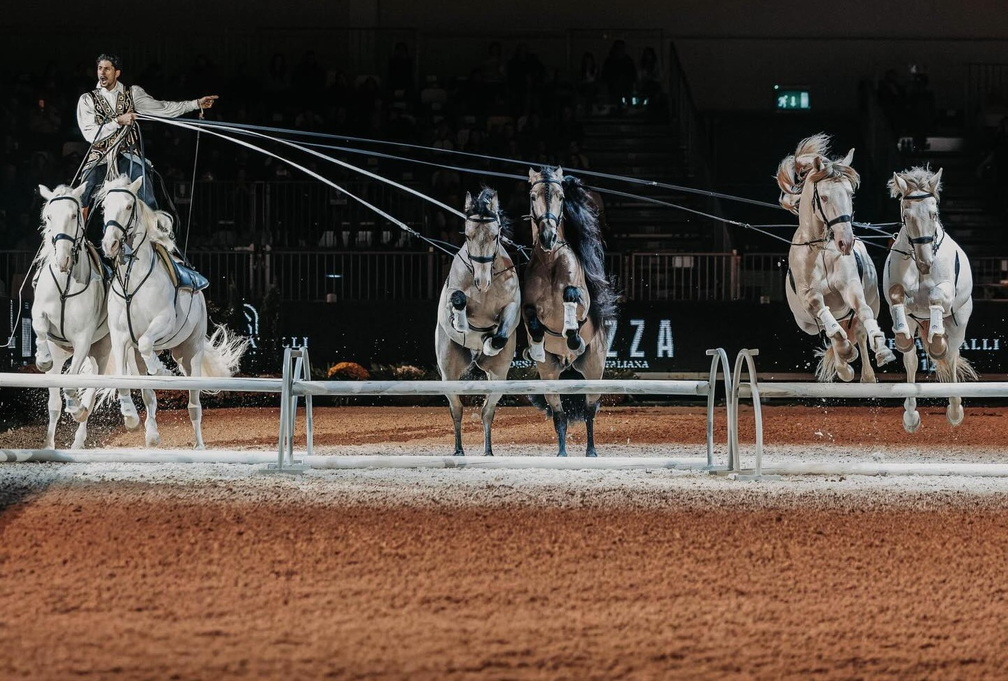 Fieracavalli