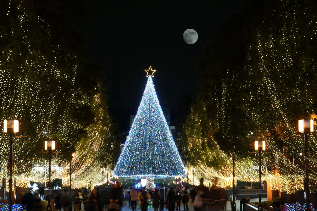 Honolulu City Lights