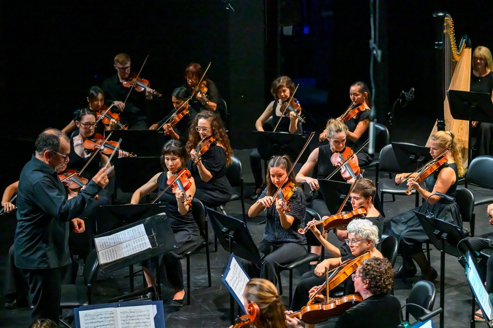 DSO - Shakespeare & Symphony