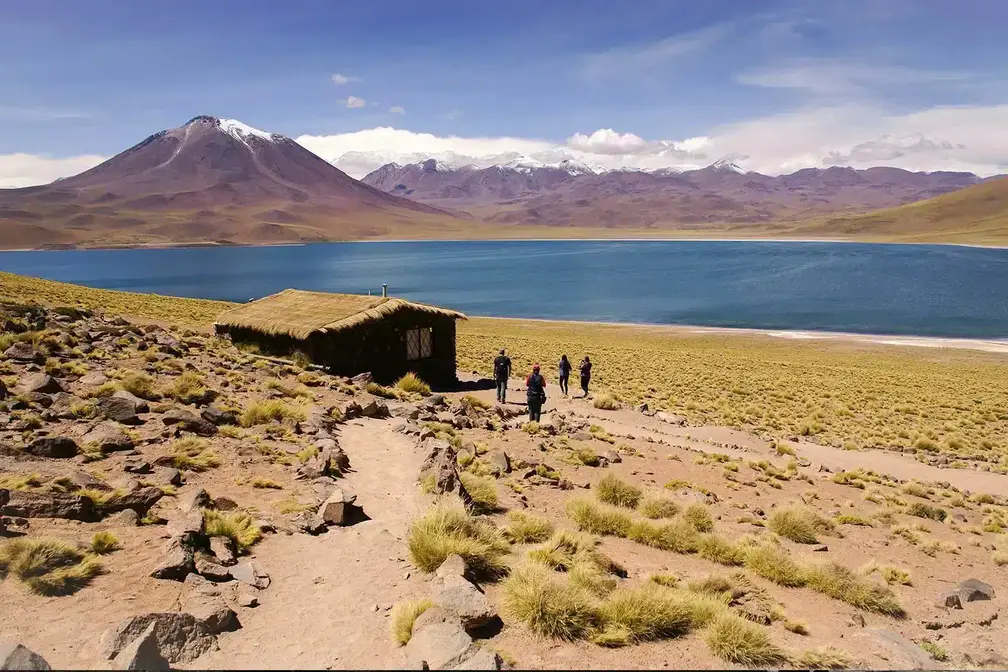 Altiplanic Lagoons, Red Stones & Chaxa Lagoon Tour