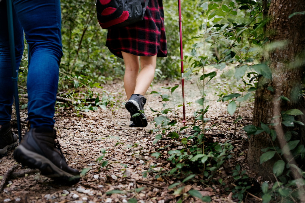 Herb Walk & Wildlife Observation