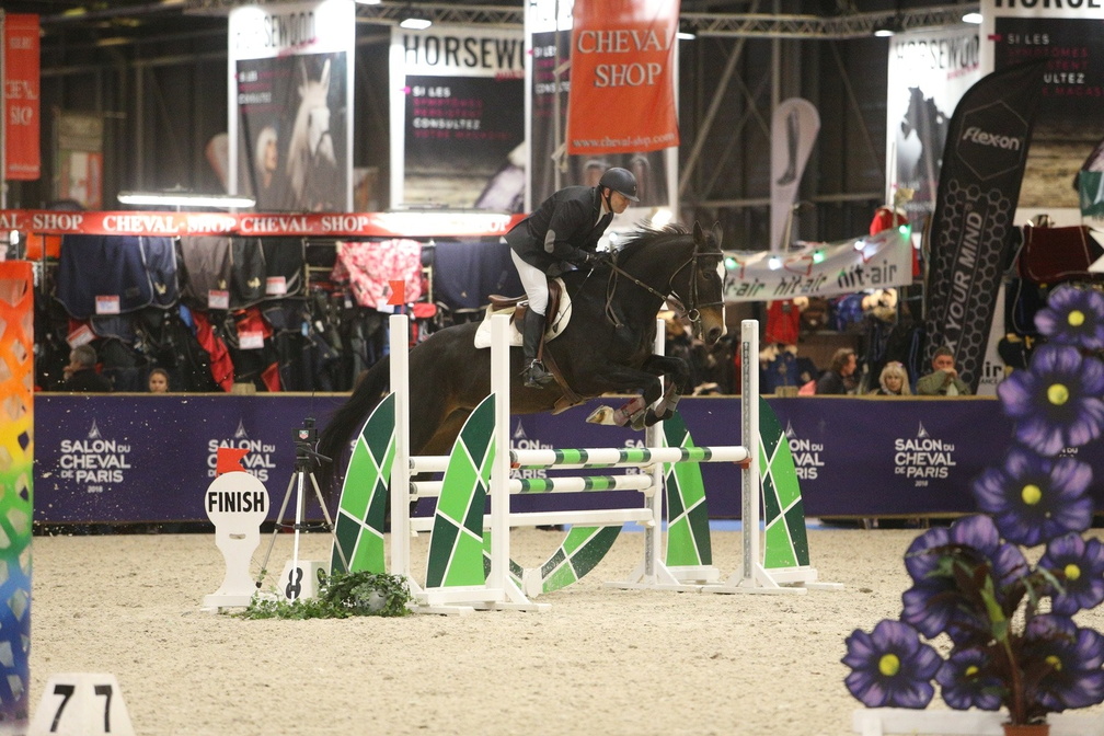 Salon du cheval de Paris Horse Show