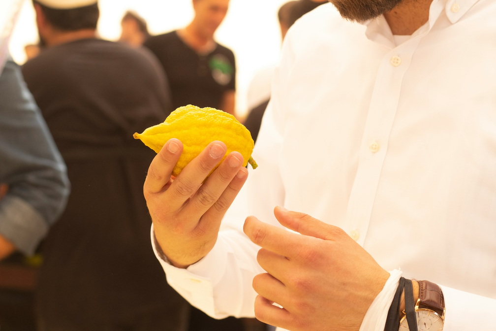 Sukkot