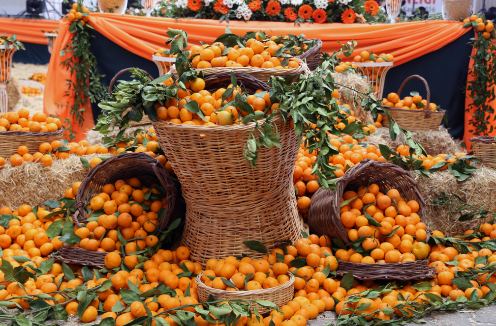 Seferihisar Mandarin Festival