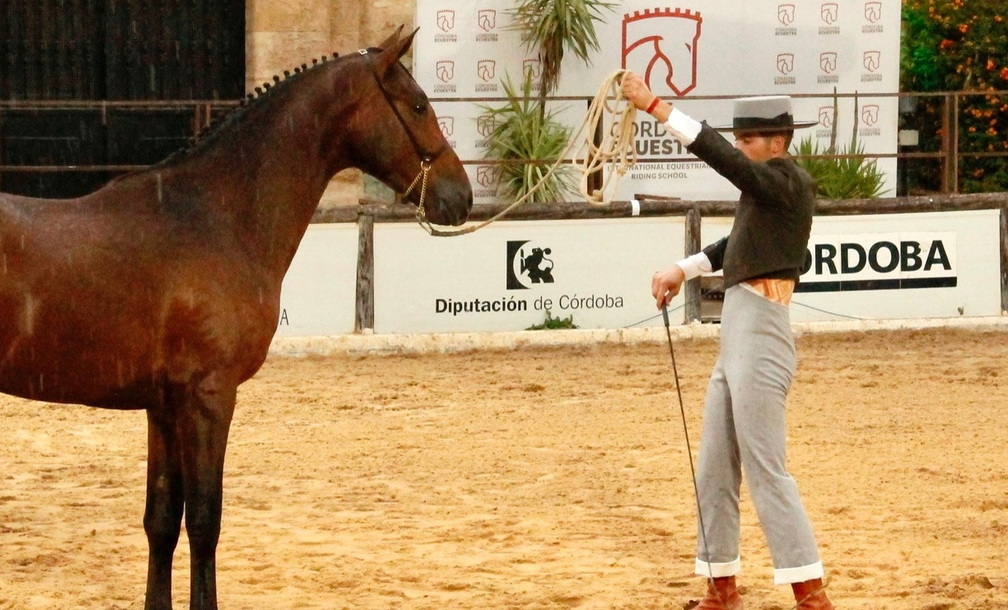 Cabalcor - Córdoba Horse Fair