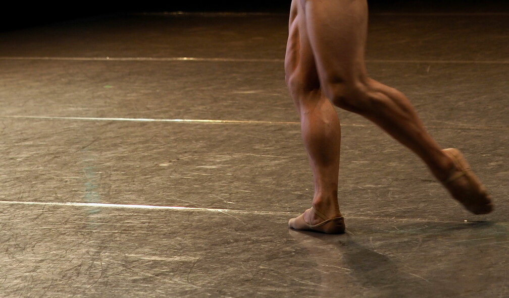 Impure Blood: Ballet (Bitef Dance Company)