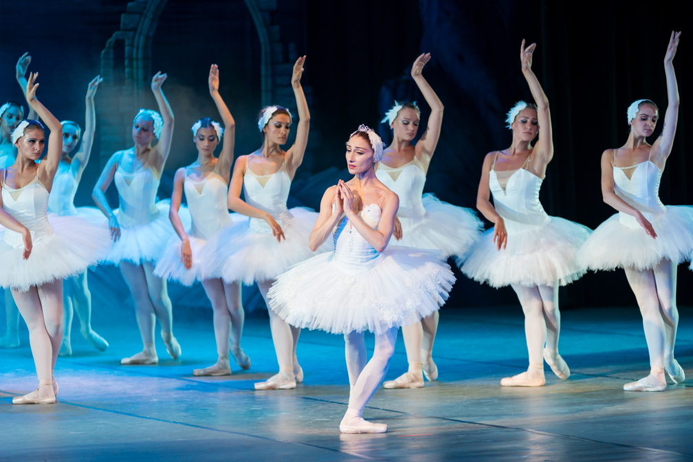 The Largest Swan Lake in the World