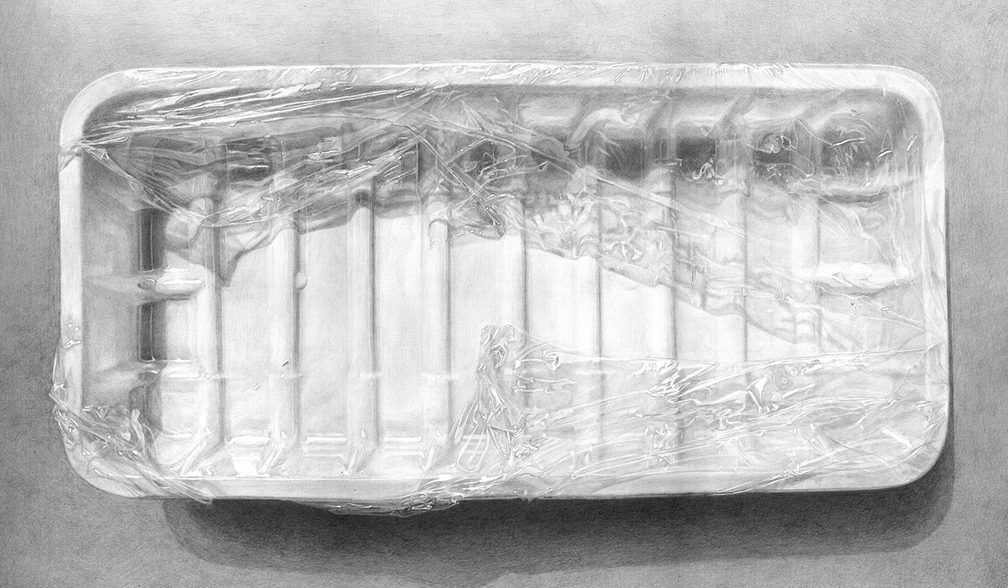 Ilana Dotan: Shelf Life