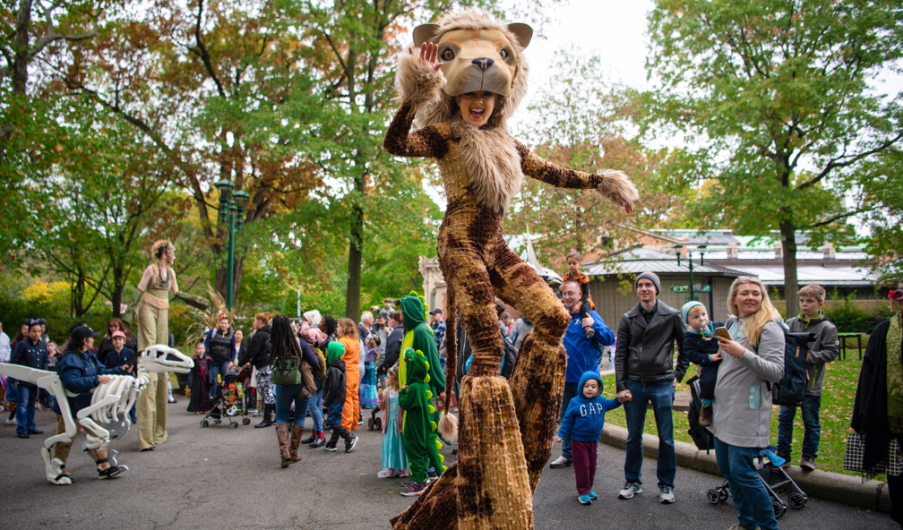 Boo at the Zoo