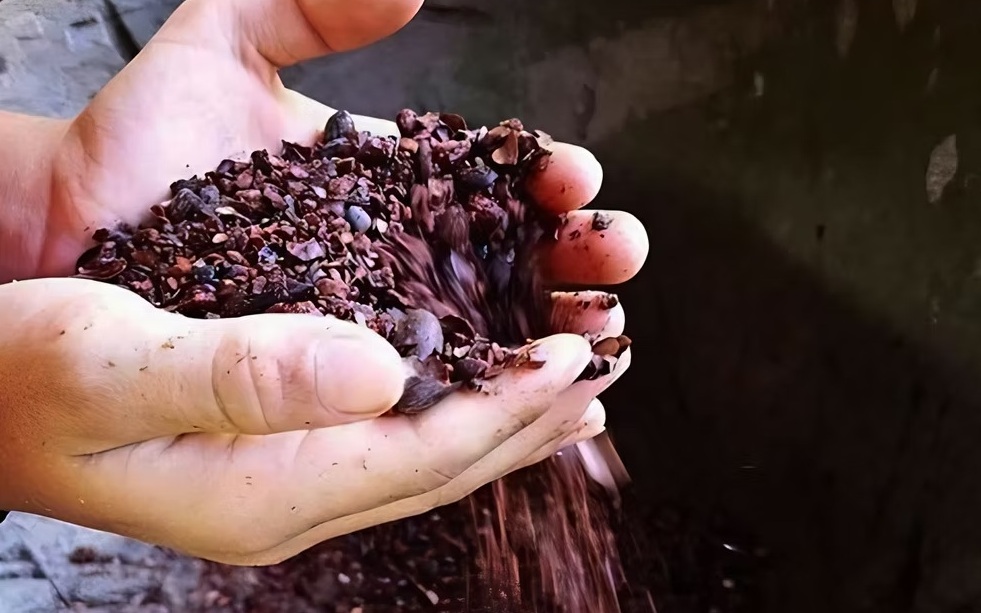 Chocolate & Coffee Tour