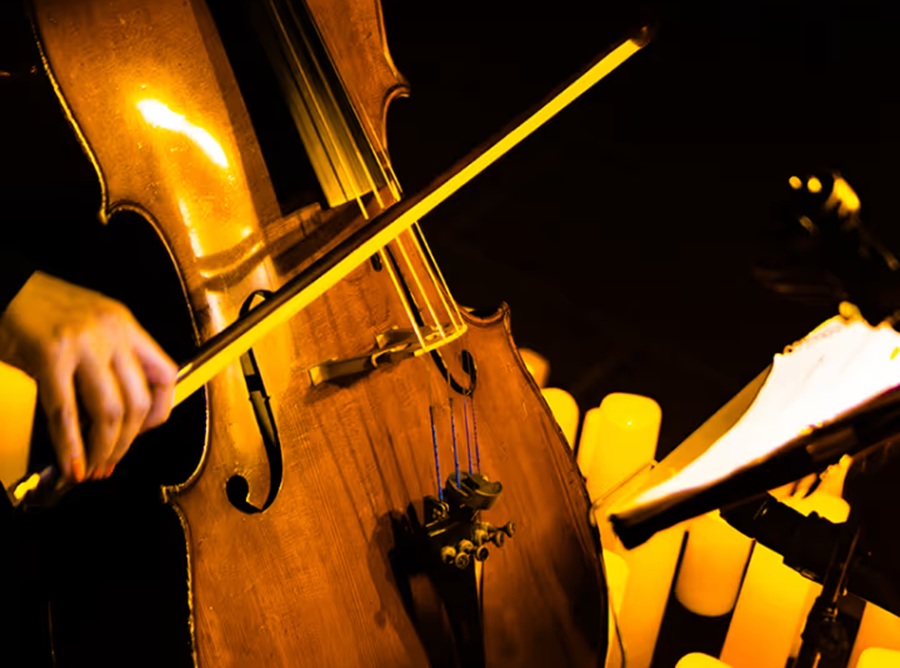 Vivaldi's Four Seasons (Candlelight)