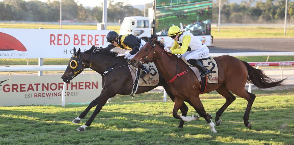Cairns Cup 2026