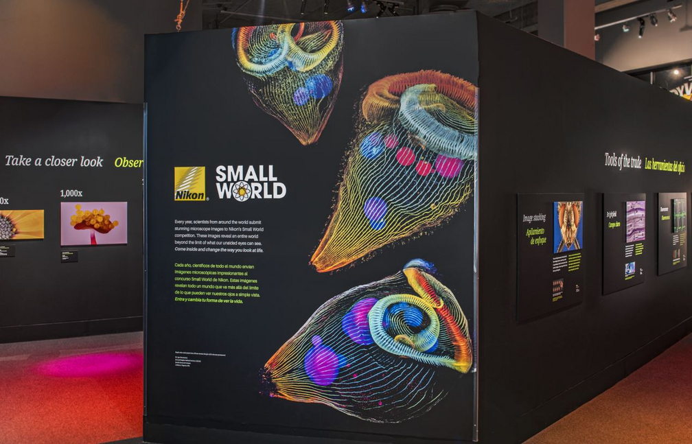 Nikon Small World