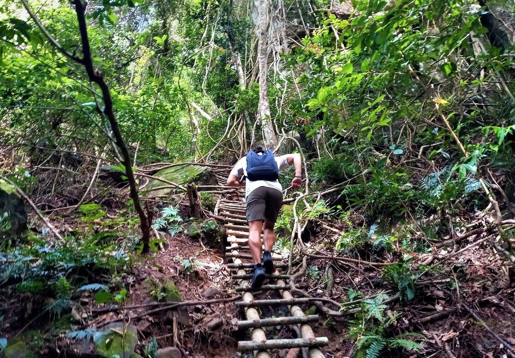 Jungle Trek: Tranh Stream To Tien Son Peak